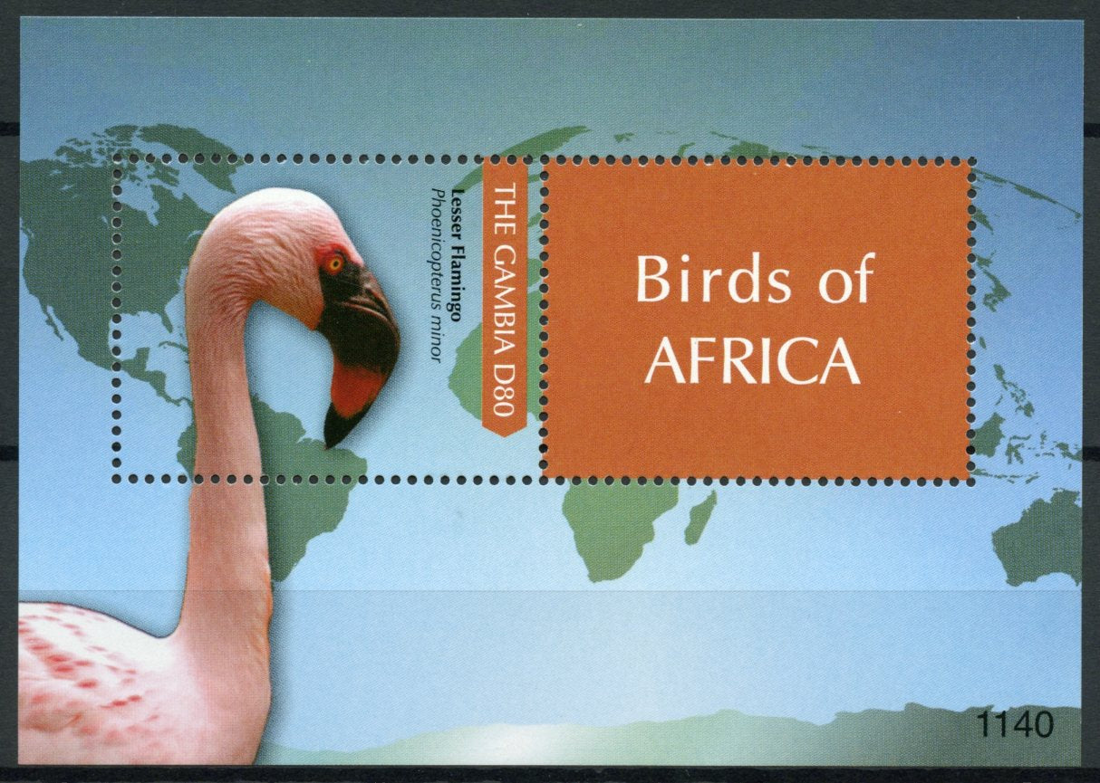 Gambia 2011 MNH Birds of Africa 1v S/S II Lesser Flamingo Flamingoes Stamps