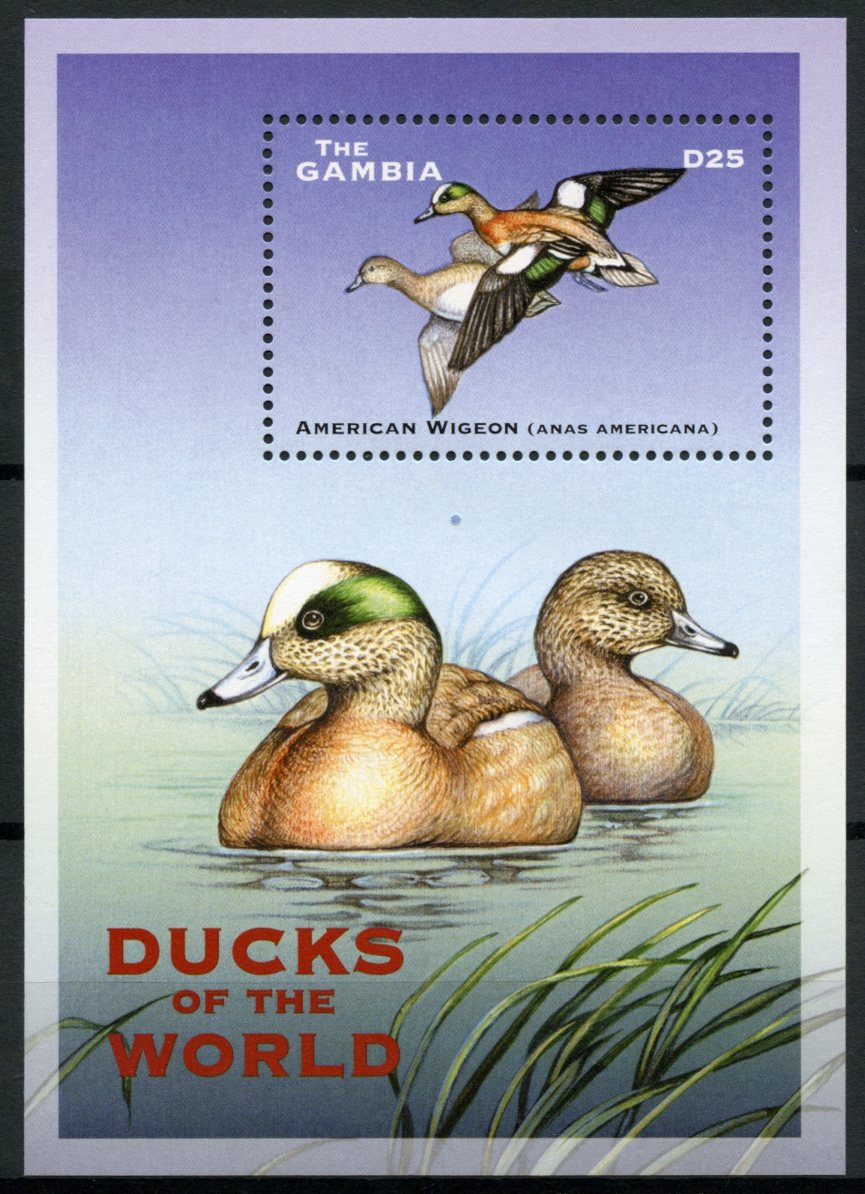 Gambia 2002 MNH Birds Stamps Ducks of the World American Wigeon Stamps 1v S/S IV