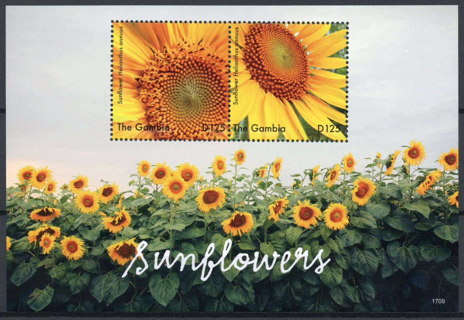 Gambia 2017 MNH Sunflowers Sun Flowers 2v S/S Flower Flora Stamps