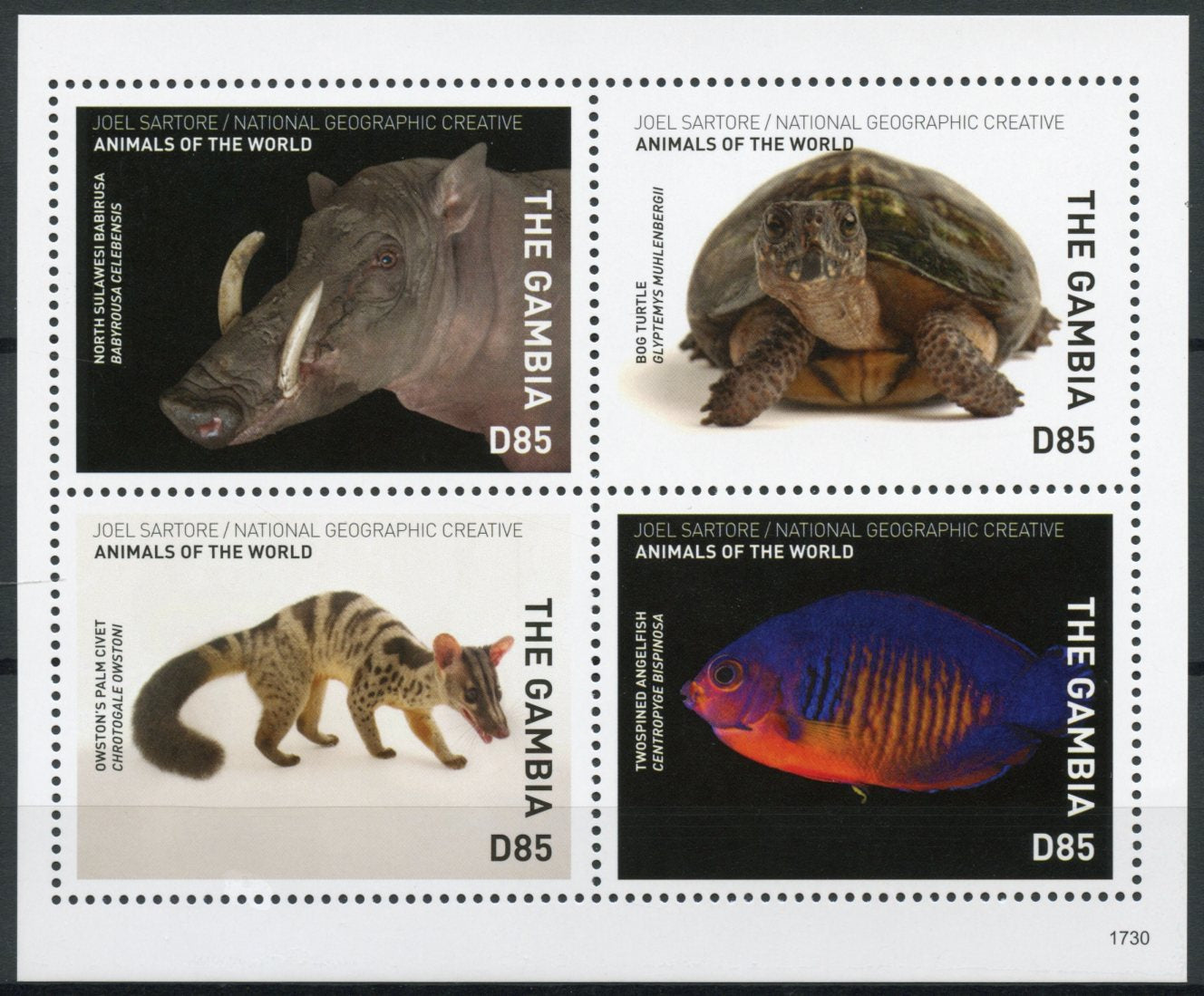 Gambia 2017 MNH Wild Animals of World 4v M/S Civet Barbirusa Fish Turtles Stamps