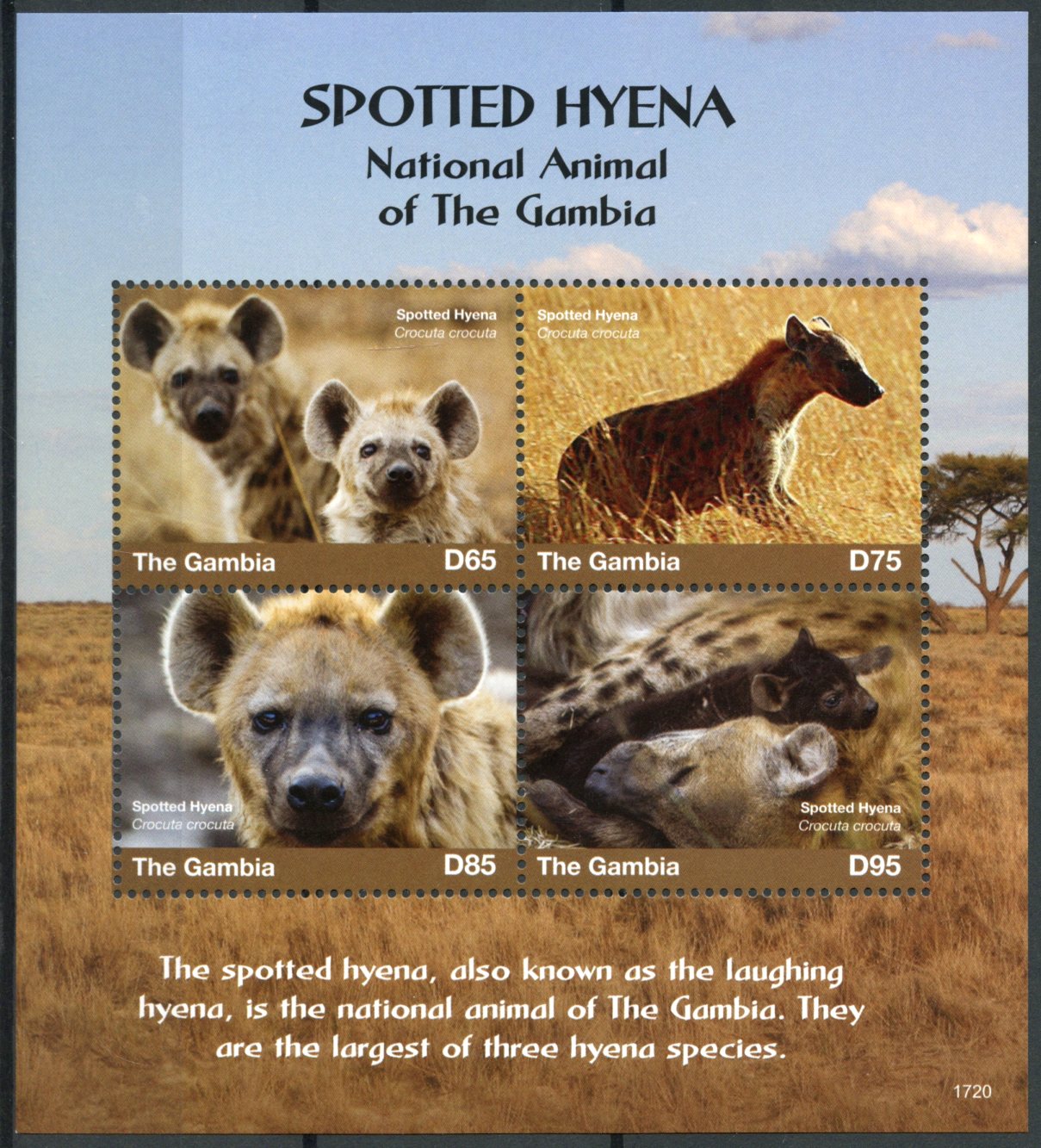 Gambia 2017 MNH Spotted Hyena National Animal 4v M/S Hyenas Wild Animals Stamps