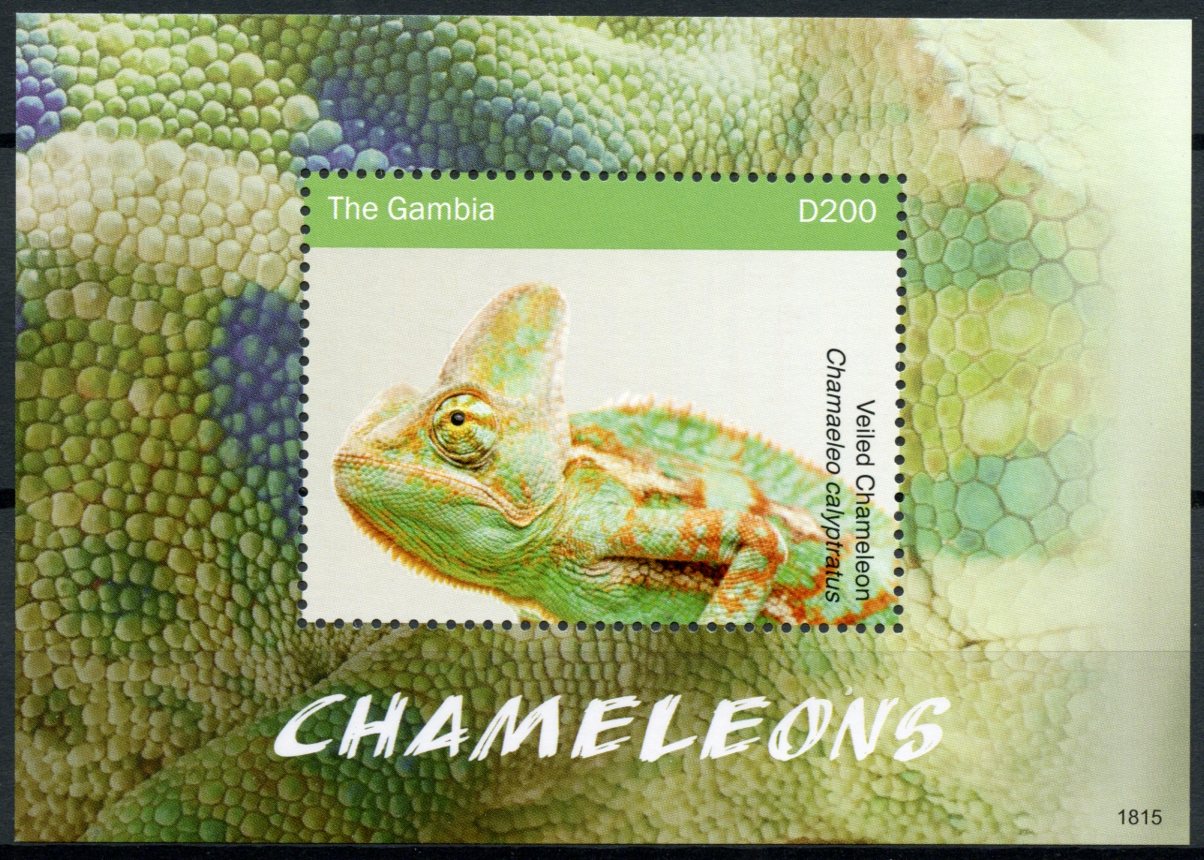 Gambia 2018 MNH Chameleons Veiled Chameleon 1v S/S Lizards Reptiles Stamps