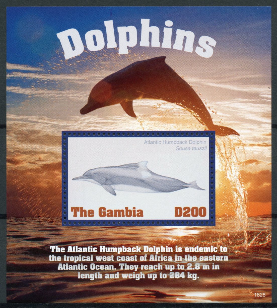 Gambia 2018 MNH Dolphins Atlantic Humpback Dolphin 1v S/S Marine Animals Stamps