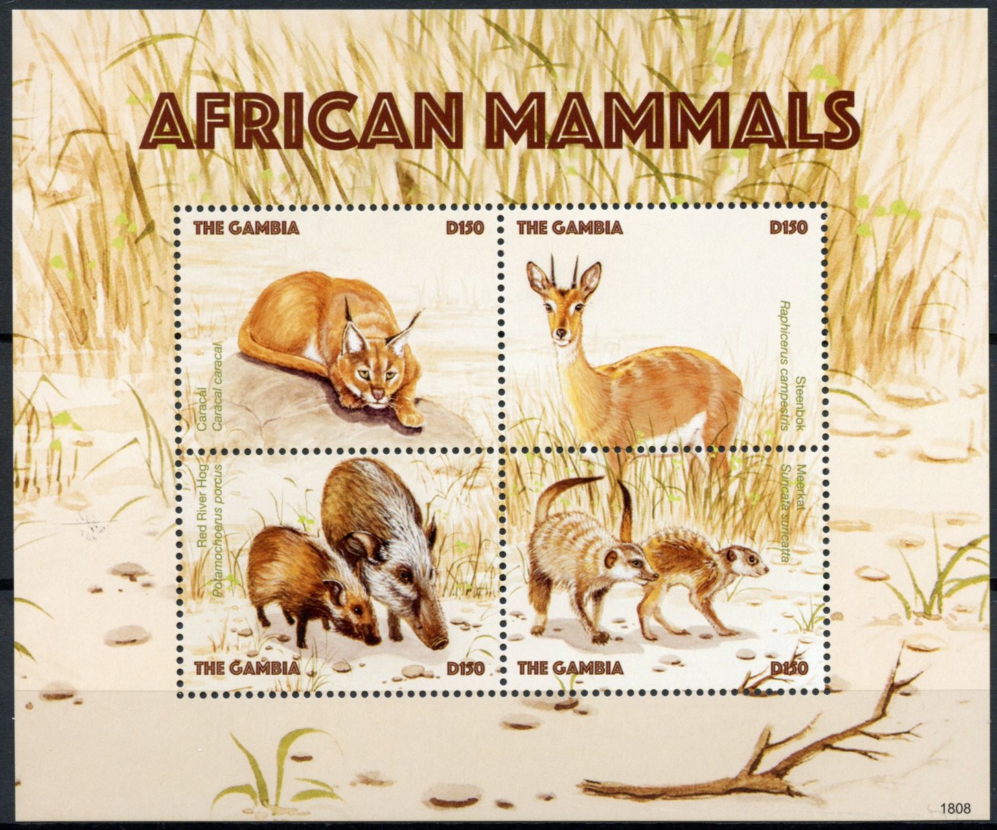 Gambia 2018 MNH African Mammals Caracal Meerkats 4v M/S Wild Animals Stamps