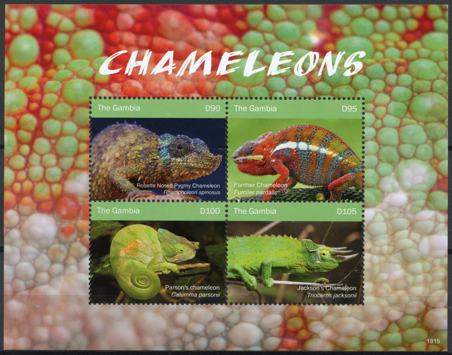 Gambia 2018 MNH Chameleons Pygmy Chameleon 4v M/S Lizards Reptiles Stamps