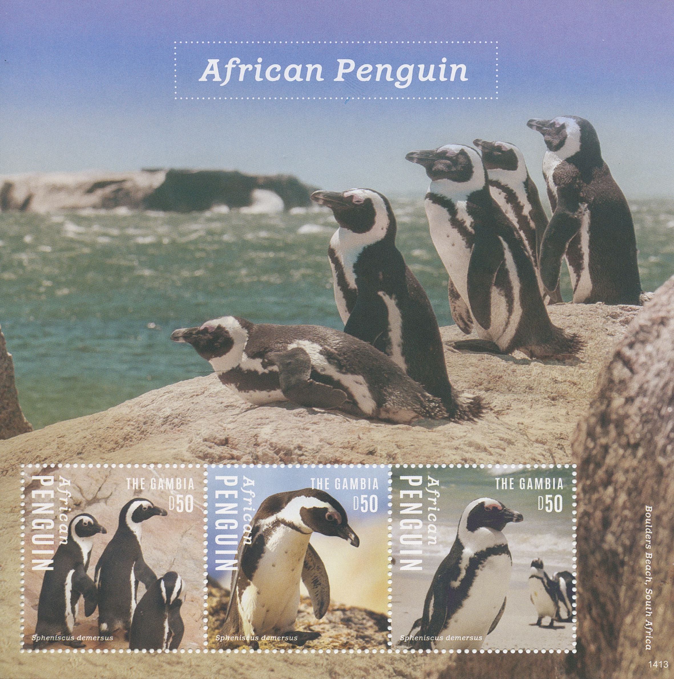 Gambia 2014 MNH Birds on Stamps African Penguin Penguins 3v M/S I