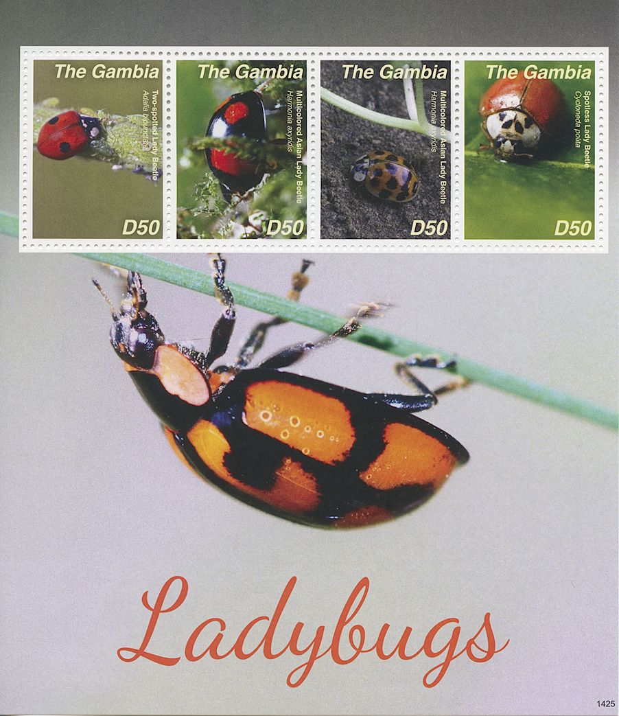 Gambia 2014 MNH Insects Stamps Ladybugs Ladybirds Beetles Bugs 4v M/S II