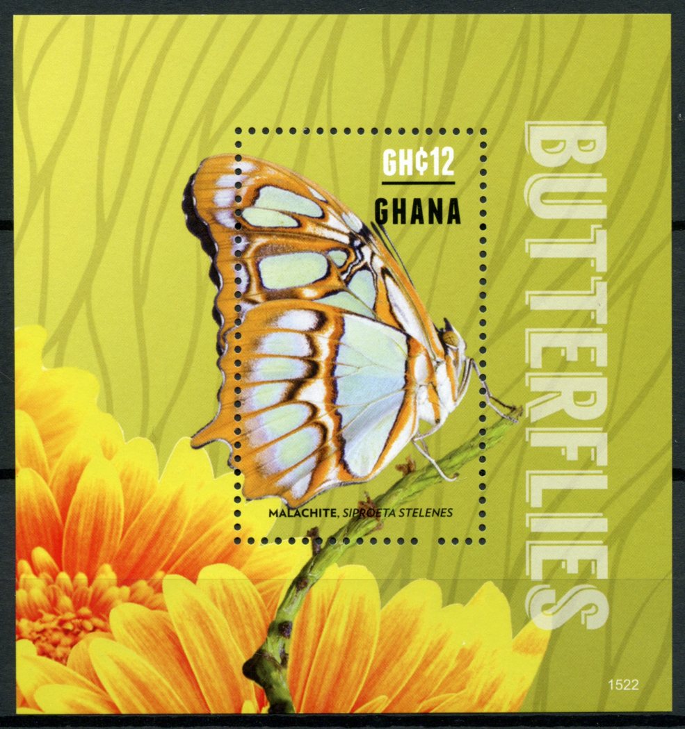 Ghana 2015 MNH Butterflies 1v S/S I Insects Malachite Butterfly