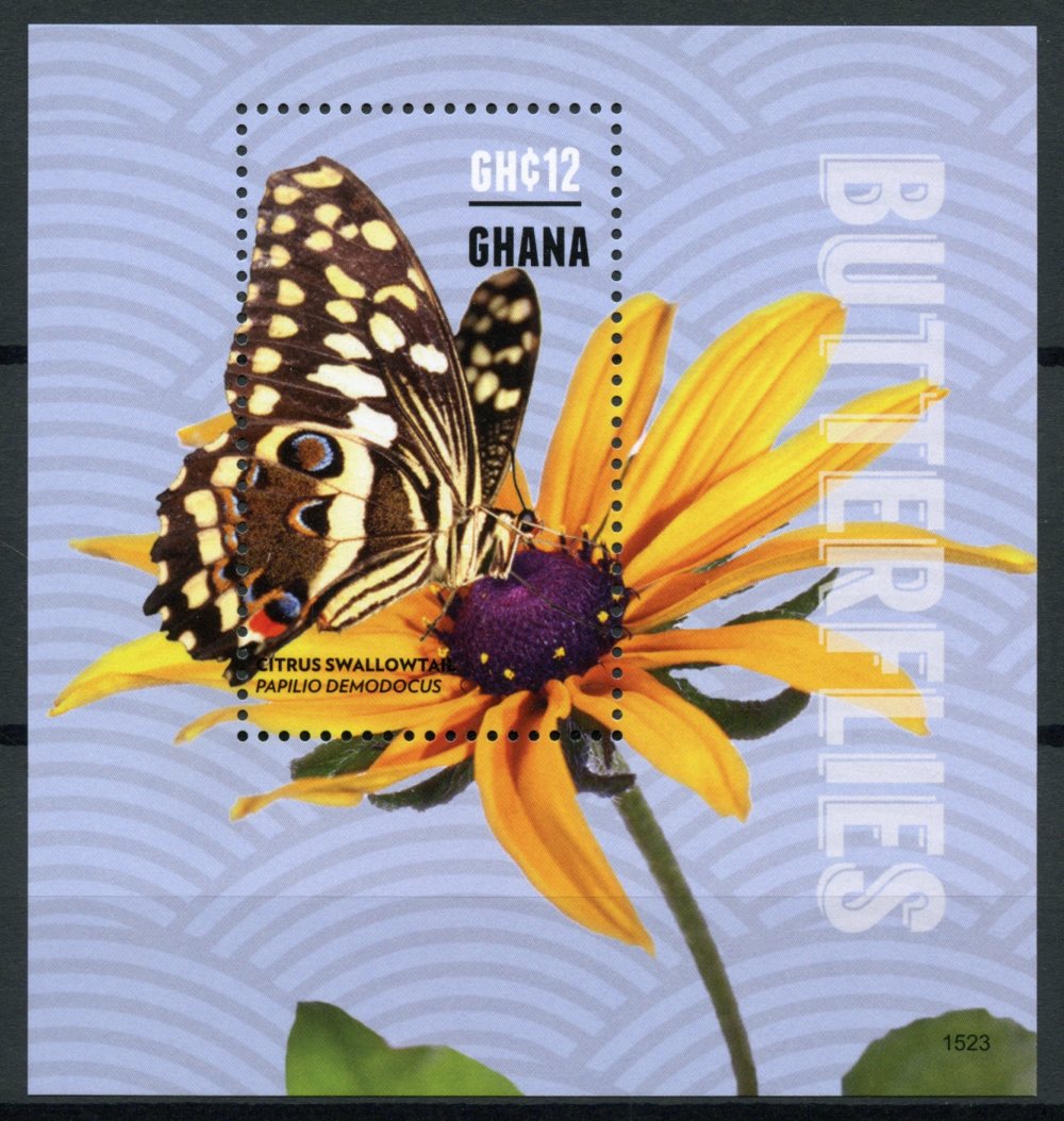 Ghana 2015 MNH Butterflies 1v S/S II Insects Citrus Swallowtail