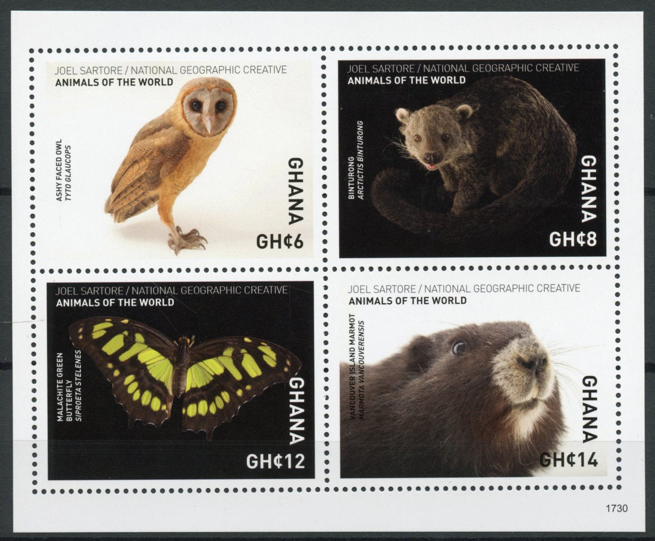 Ghana 2017 MNH Wild Animals of World Marmot 4v M/S Butterflies Birds Owls Stamps
