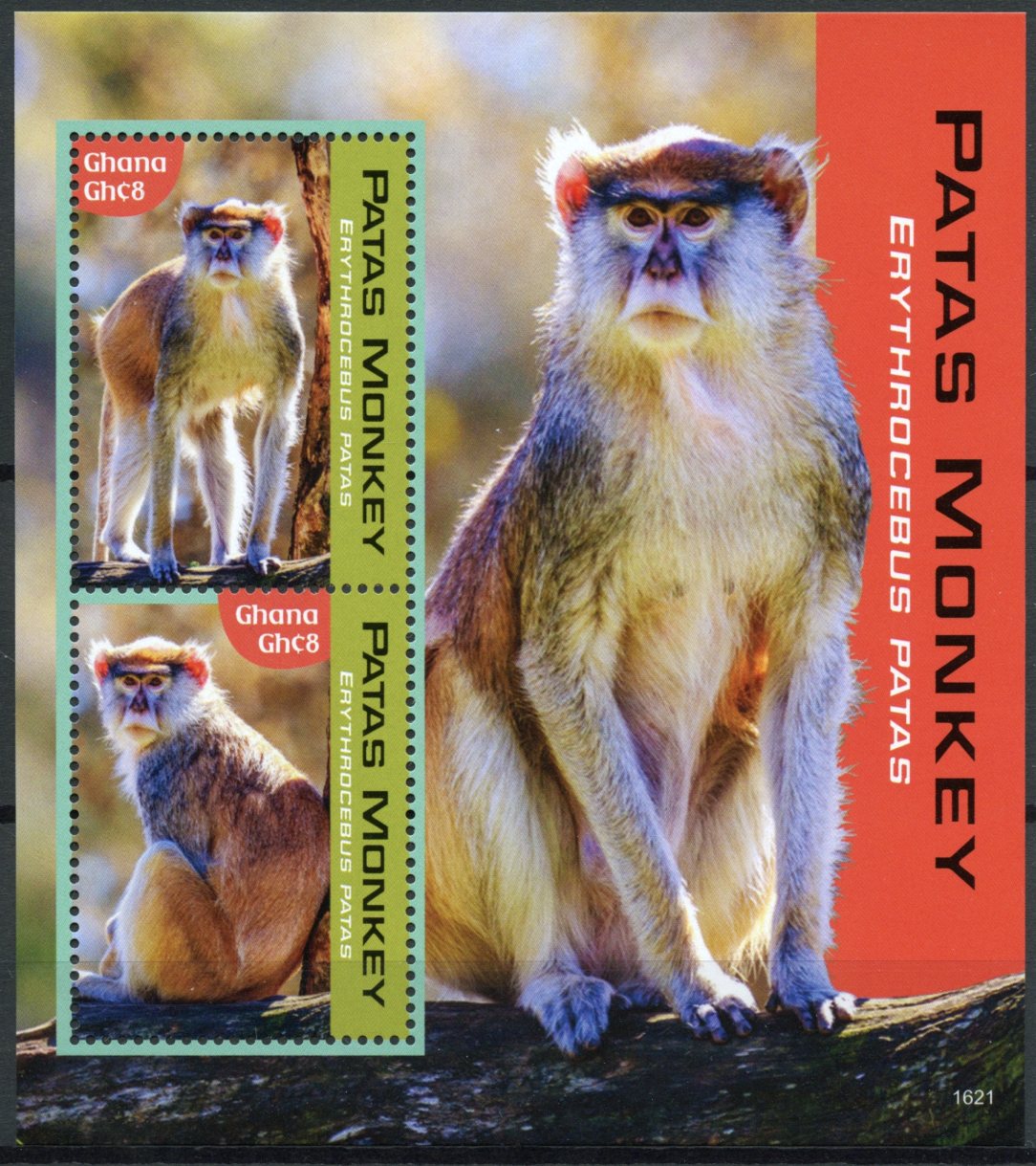 Ghana 2016 MNH Patas Monkey 2v S/S Monkeys Primates Wild Animals Stamps