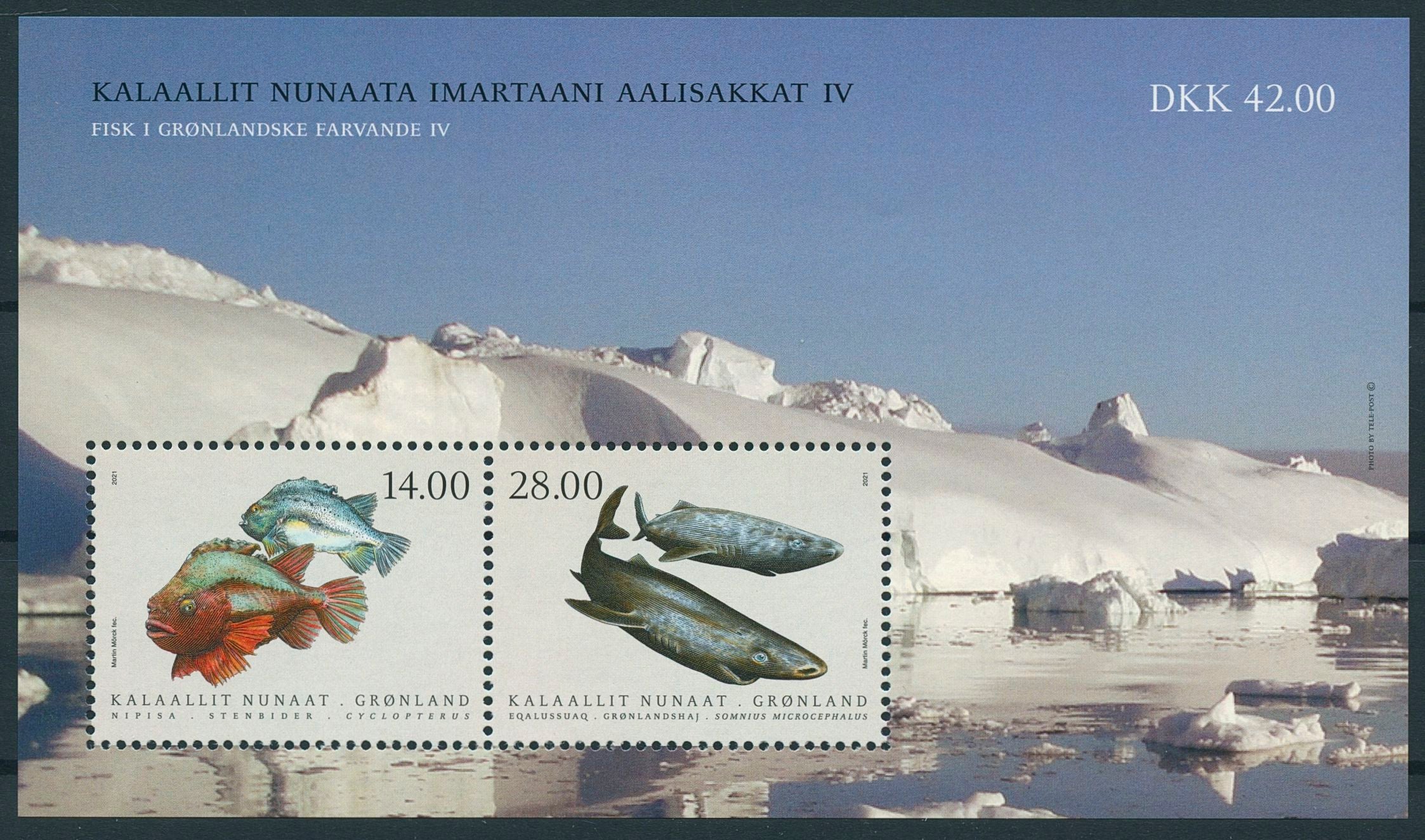 Greenland Fishes Stamps 2021 MNH Fish in Greenland IV Sharks Lumpsucker 2v M/S