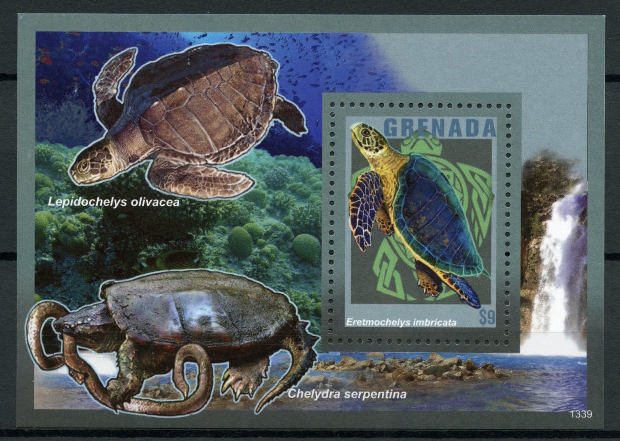 Grenada 2013 MNH Turtles 1v S/S Reptiles Nature Hawksbill Sea Turtle Snapping