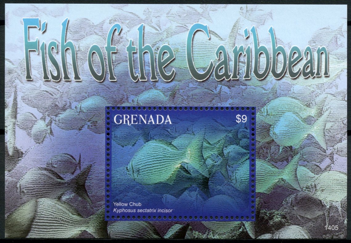 Grenada 2014 MNH Fishes Stamps Fish of Caribbean Yellow Chub 1v S/S I