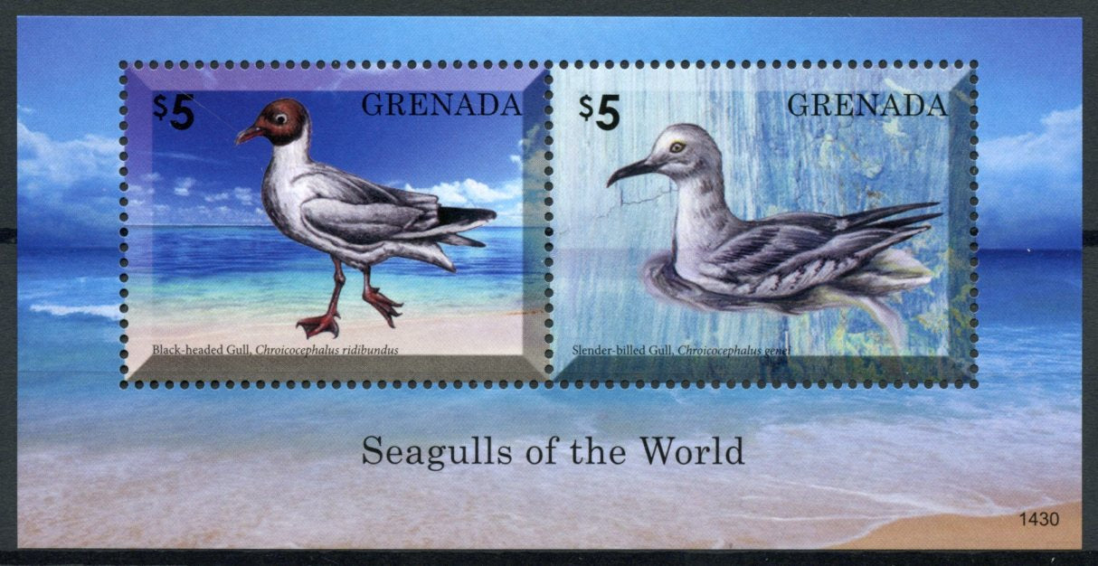 Grenada 2014 MNH Seagulls of World II 2v S/S Birds Black-headed Gull