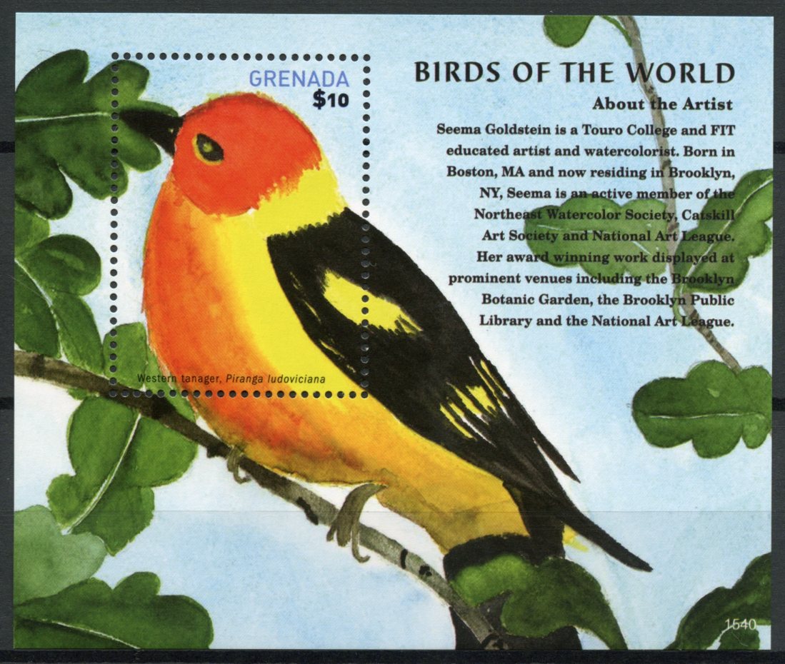 Grenada 2015 MNH Birds of World 1v S/S Western Tanager