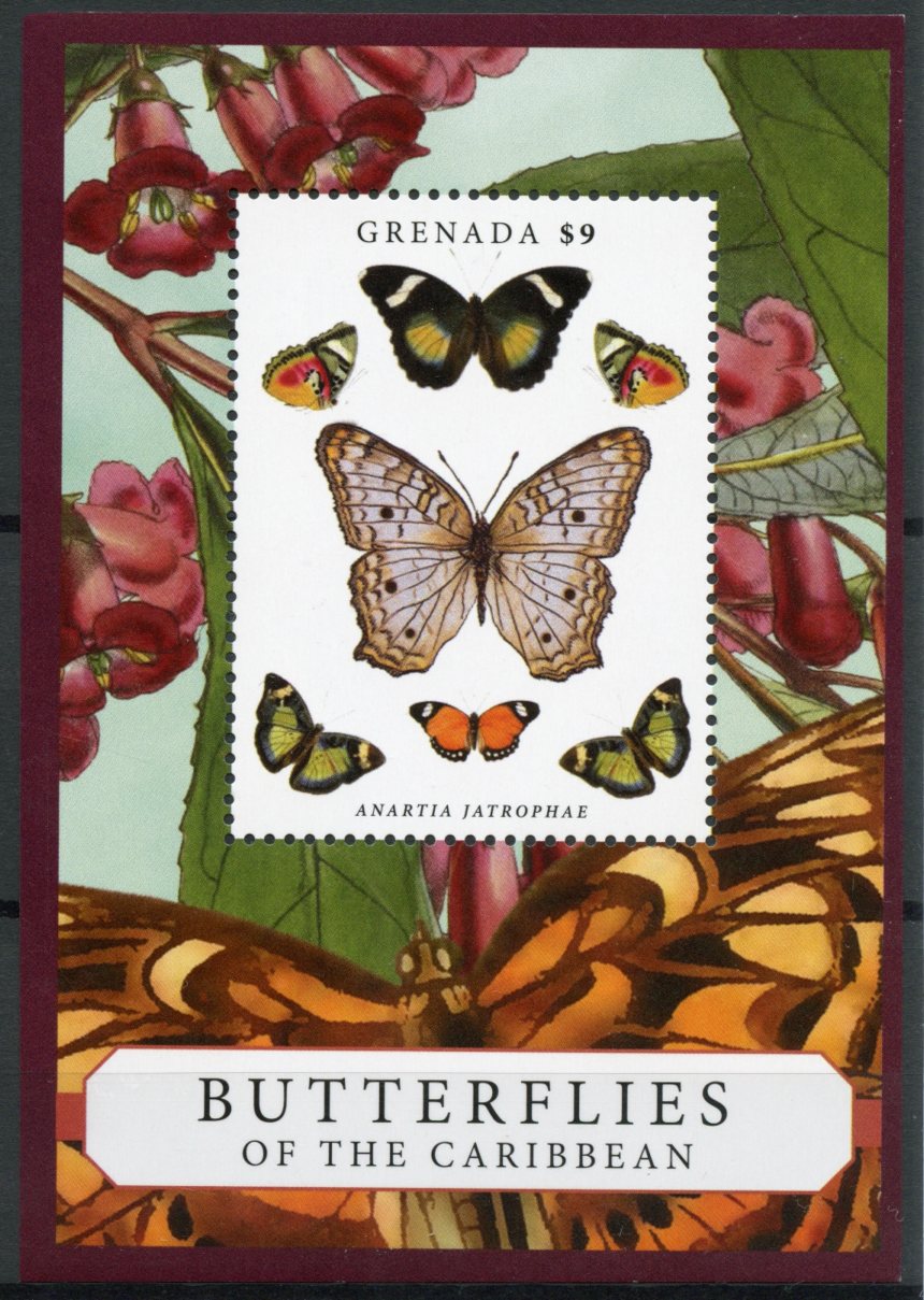 Grenada 2013 MNH Butterflies of Caribbean 1v S/S Insects Stamps