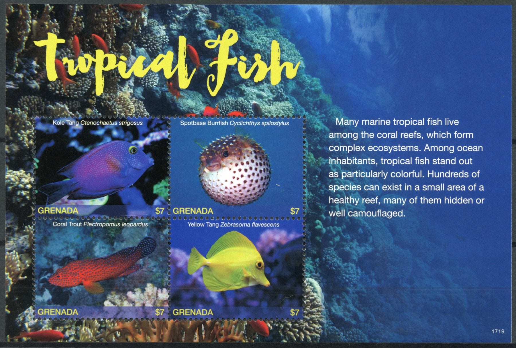 Grenada 2017 MNH Tropical Fish Stamps Fishes Tang Corals 4v M/S II