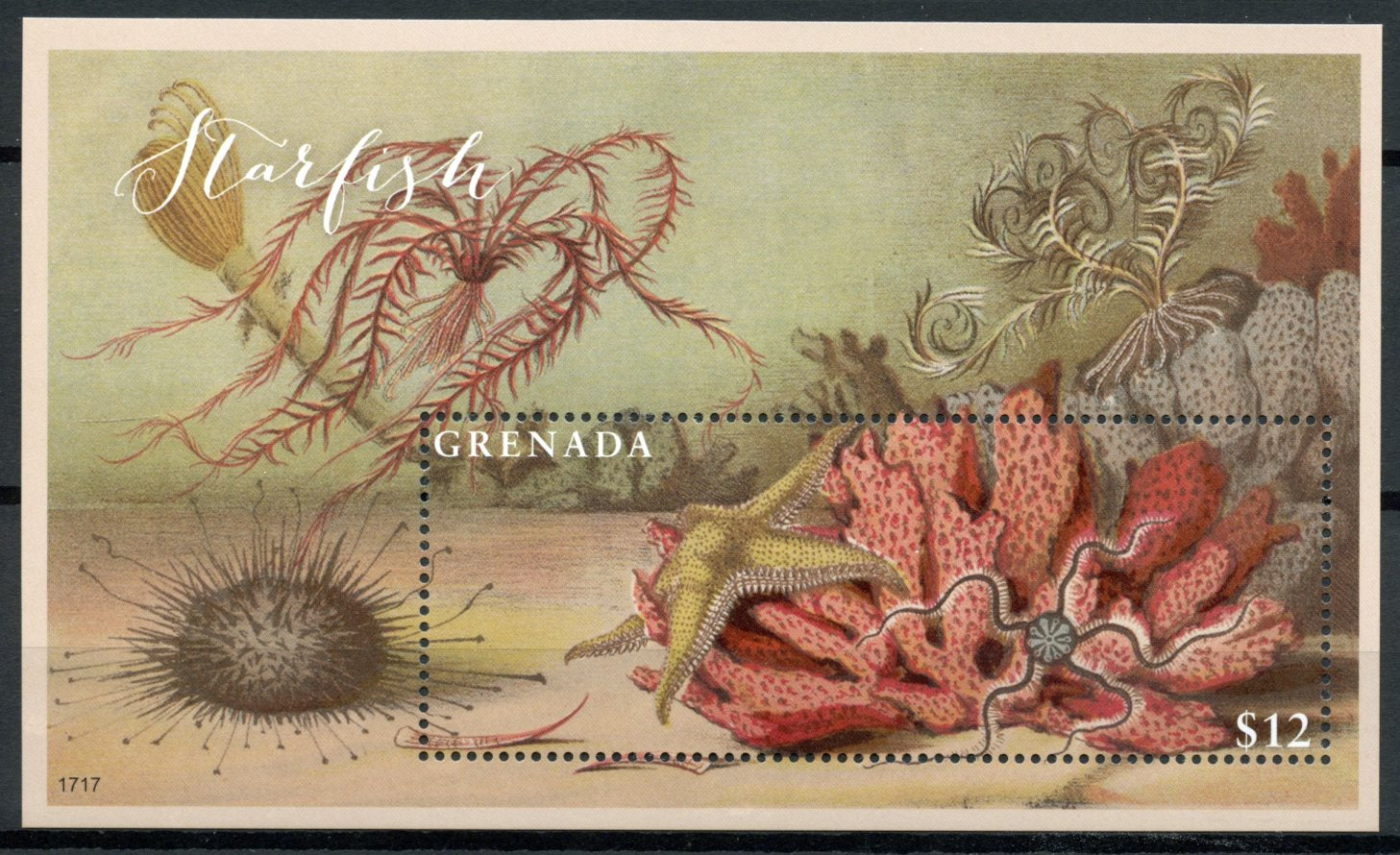 Grenada 2017 MNH Starfish 1v S/S Marine Animals Corals Stamps