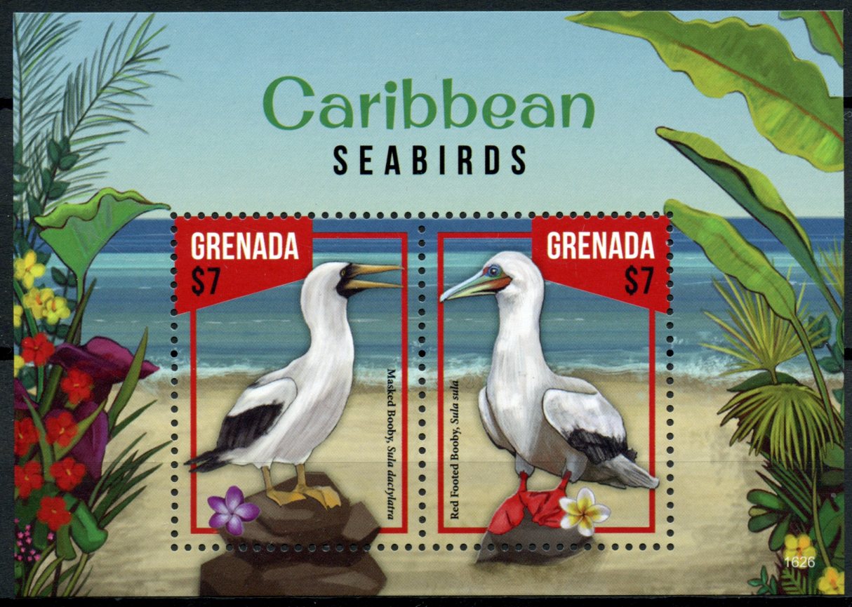 Grenada 2016 MNH Caribbean Seabirds 2v S/S Booby Boobies Birds Stamps