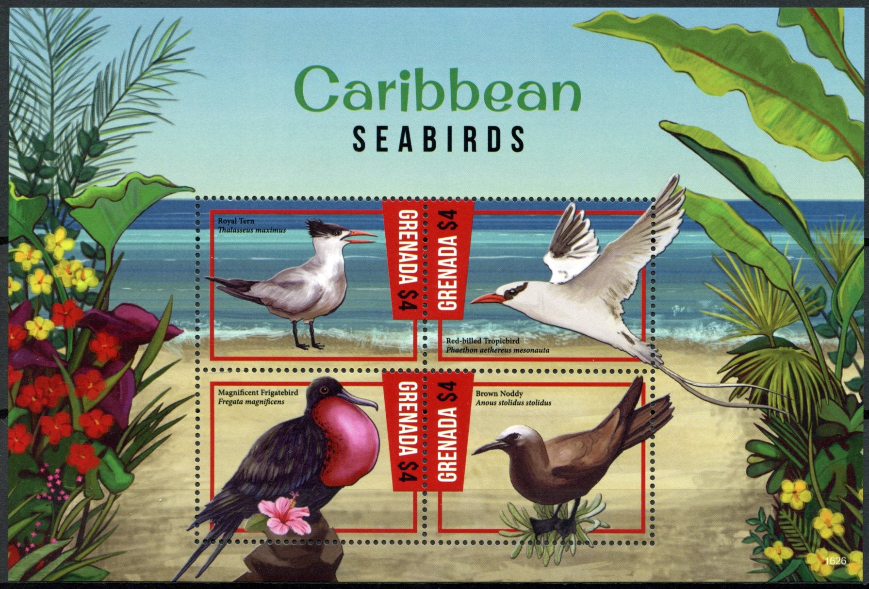 Grenada 2016 MNH Caribbean Seabirds 4v M/S Terns Tropicbird Noddy Birds Stamps