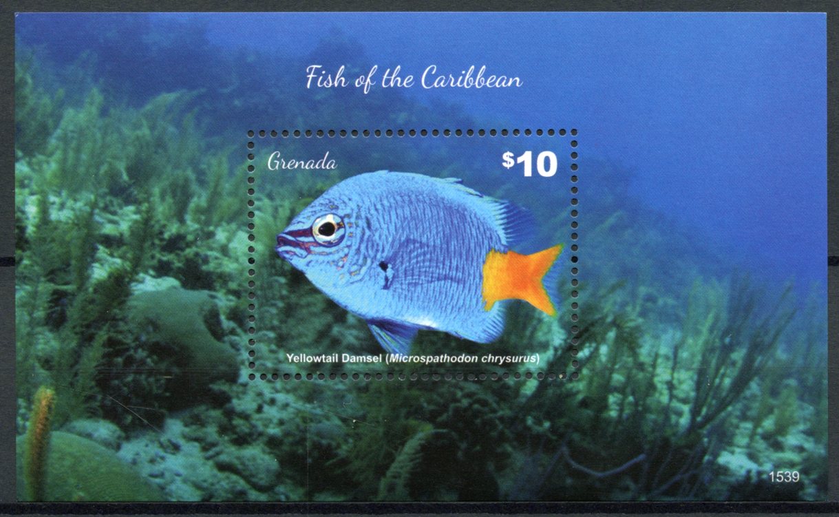 Grenada 2015 MNH Fish Stamps Fishes of Caribbean Yellowtail Damsel 1v S/S II