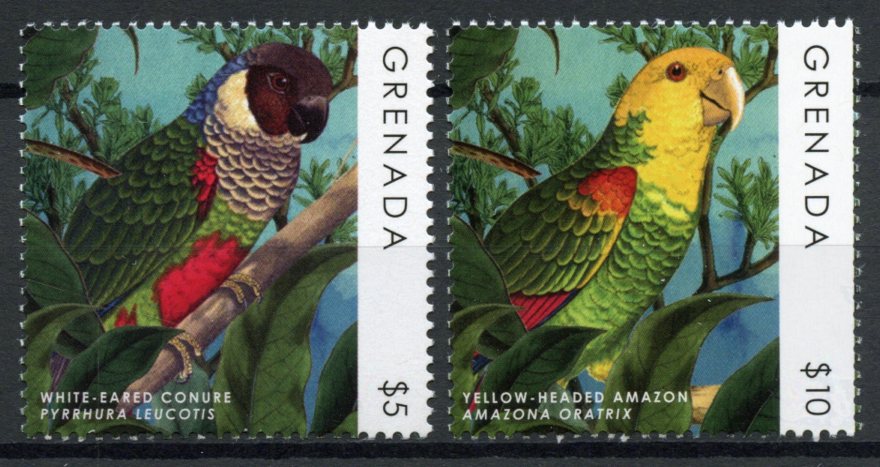Grenada 2013 MNH Birds on Stamps Parrots Definitives Amazons Conures 2v Set