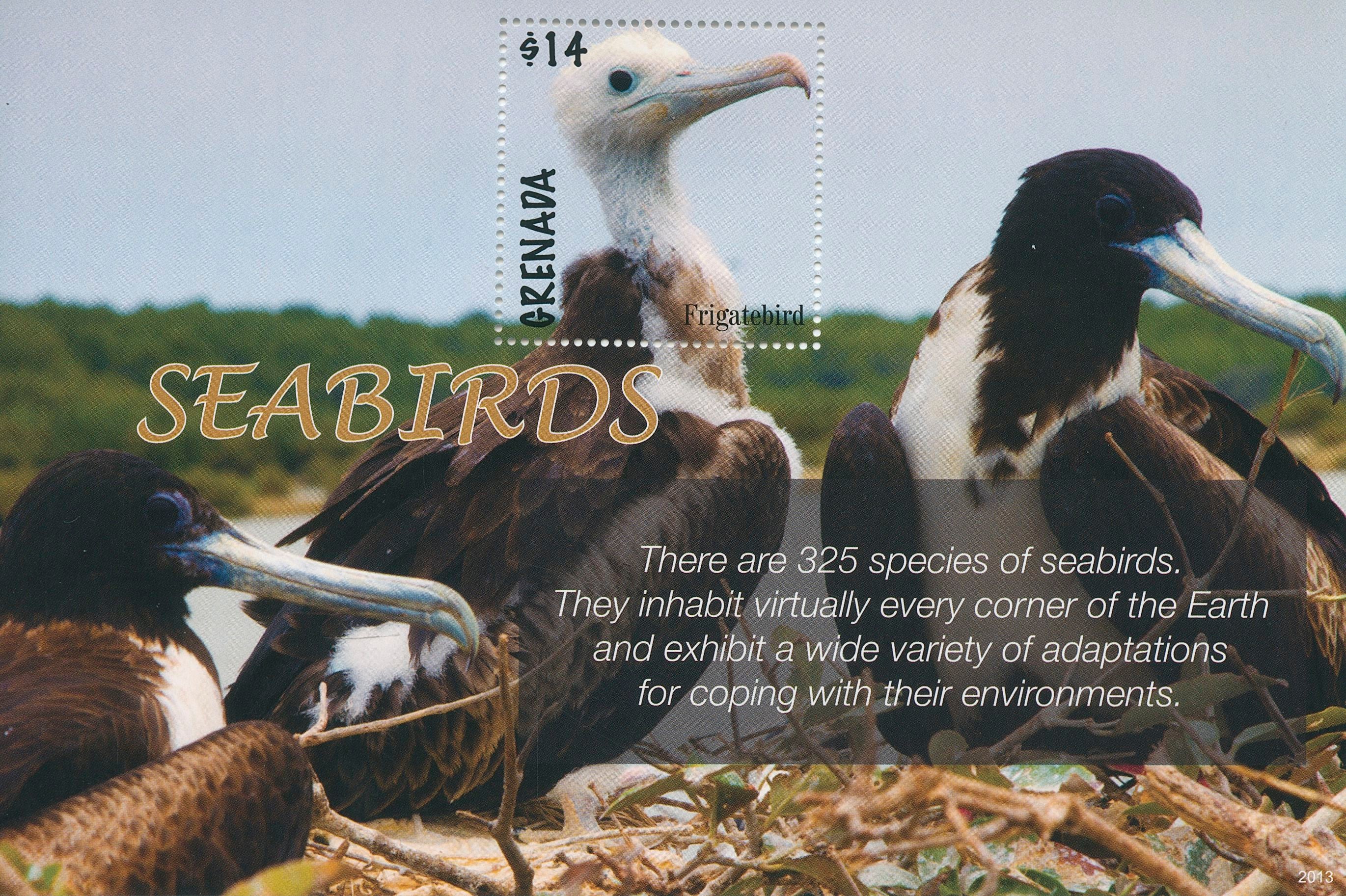 Grenada 2020 MNH Birds on Stamps Seabirds Frigatebird 1v S/S