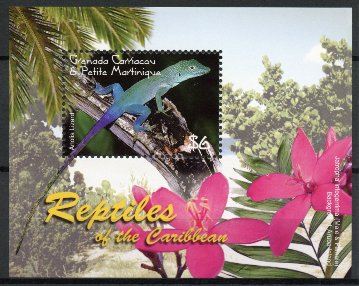 Grenada Grenadines 2005 MNH Reptiles of Caribbean 1v S/S Anolis Lizard