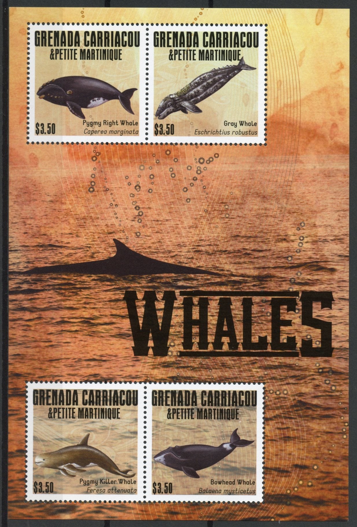 Grenada Grenadines 2013 MNH Whales 4v M/S Pygmy Right Whale Gray Killer