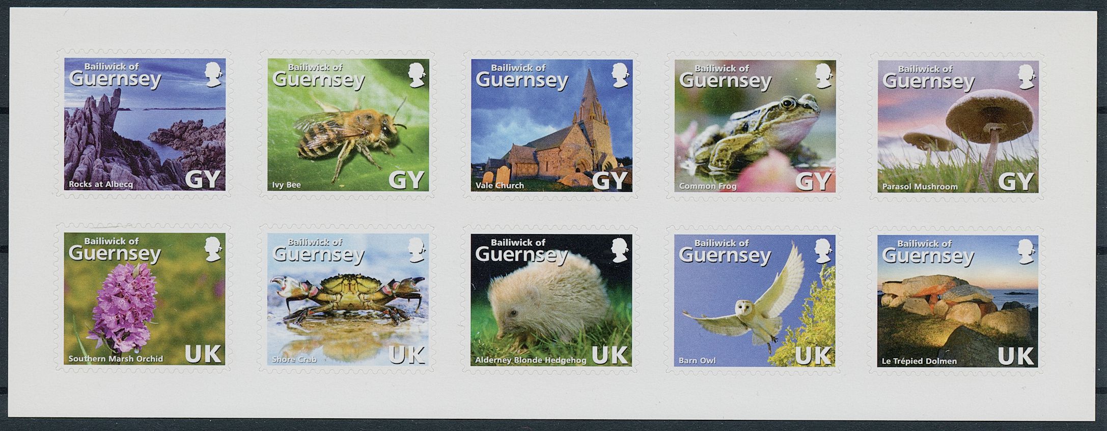 Guernsey 2007 MNH Nature Stamps La Societe Guernesiaise Birds Bees Frogs Mushrooms 10v S/A Set