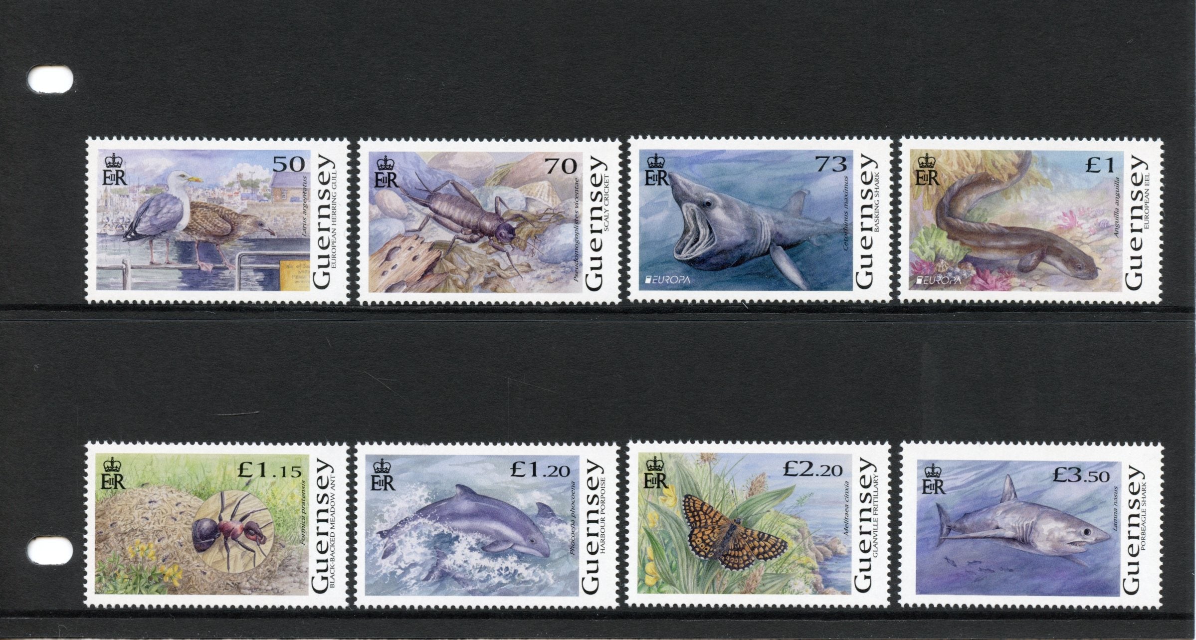 Guernsey 2021 MNH Europa Stamps Endangered Natl Wildlife Sharks Butterflies Birds 8v Set P/P