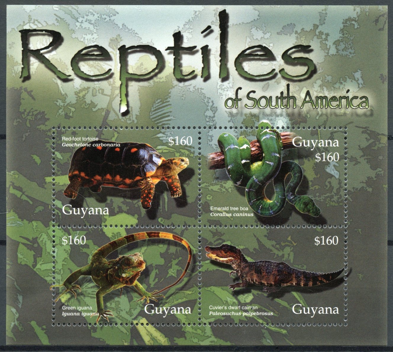 Guyana 2005 MNH Reptiles of South America 4v M/S Tortoise Boa Snakes Iguana