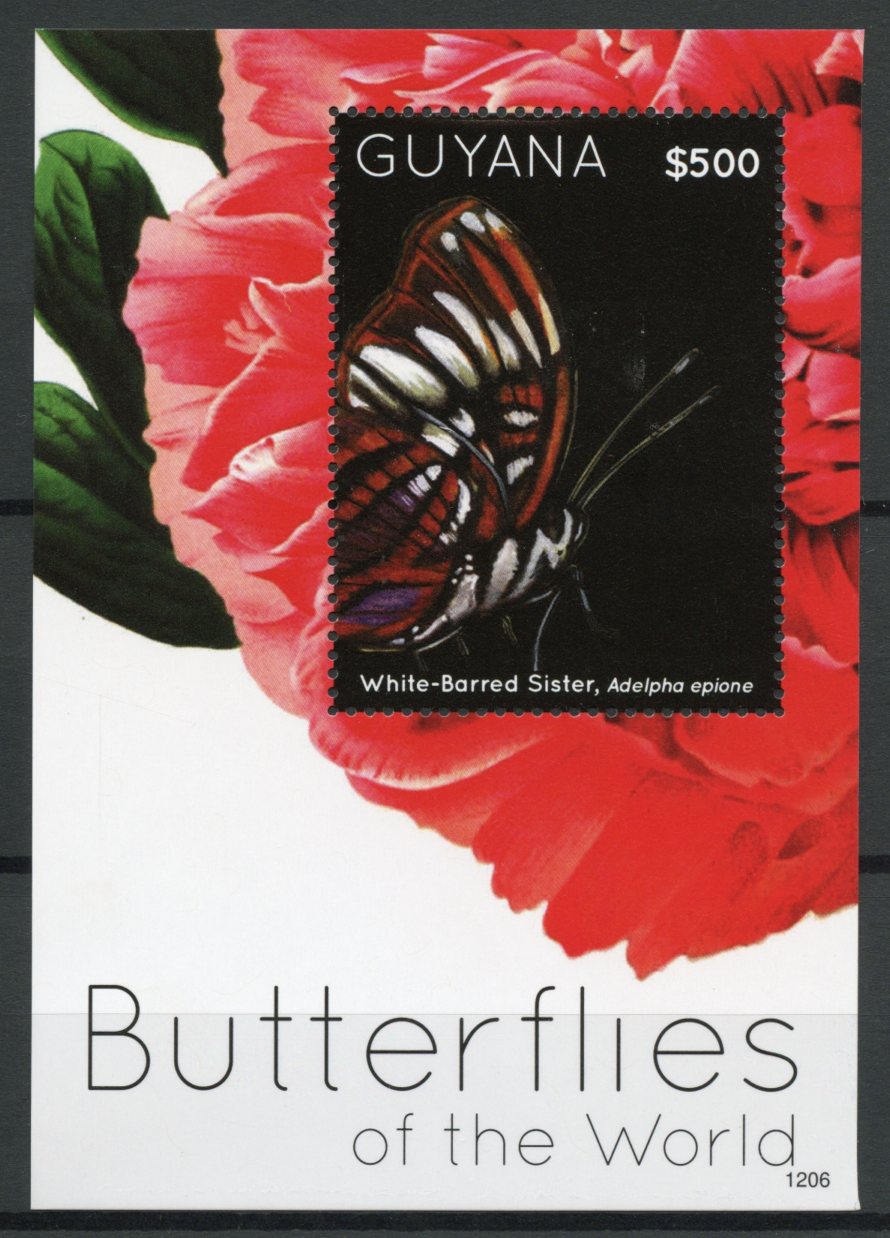 Guyana 2012 MNH Butterflies of World 1v Sheet II White-barred Sister