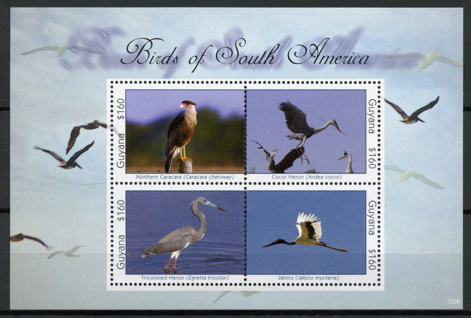 Guyana 2012 MNH Birds of South America Stamps Caracara Herons Jabiru 4v M/S II