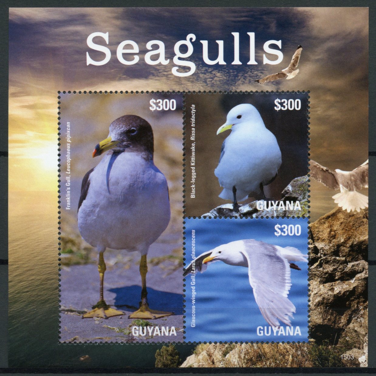 Guyana 2015 MNH Birds on Stamps Seagulls Franklin's Gull Black-legged Kitiwake 3v M/S II