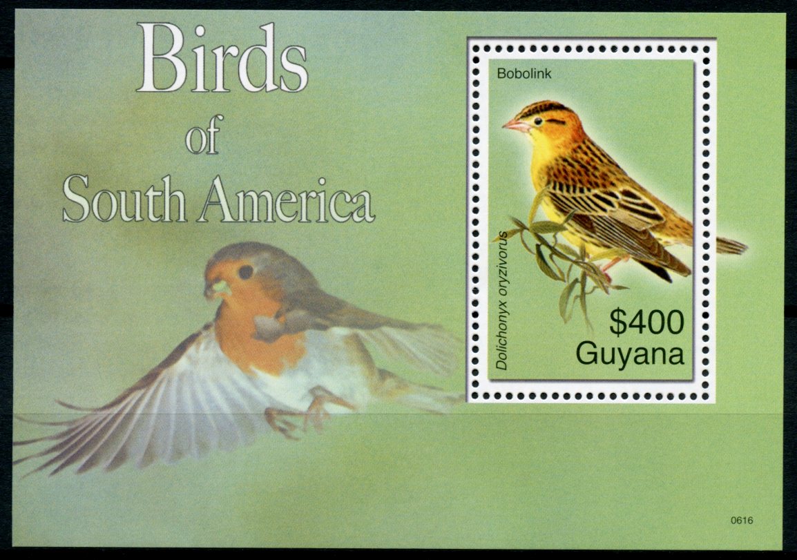 Guyana 2006 MNH Birds of South America Stamps Bobolink 1v S/S I