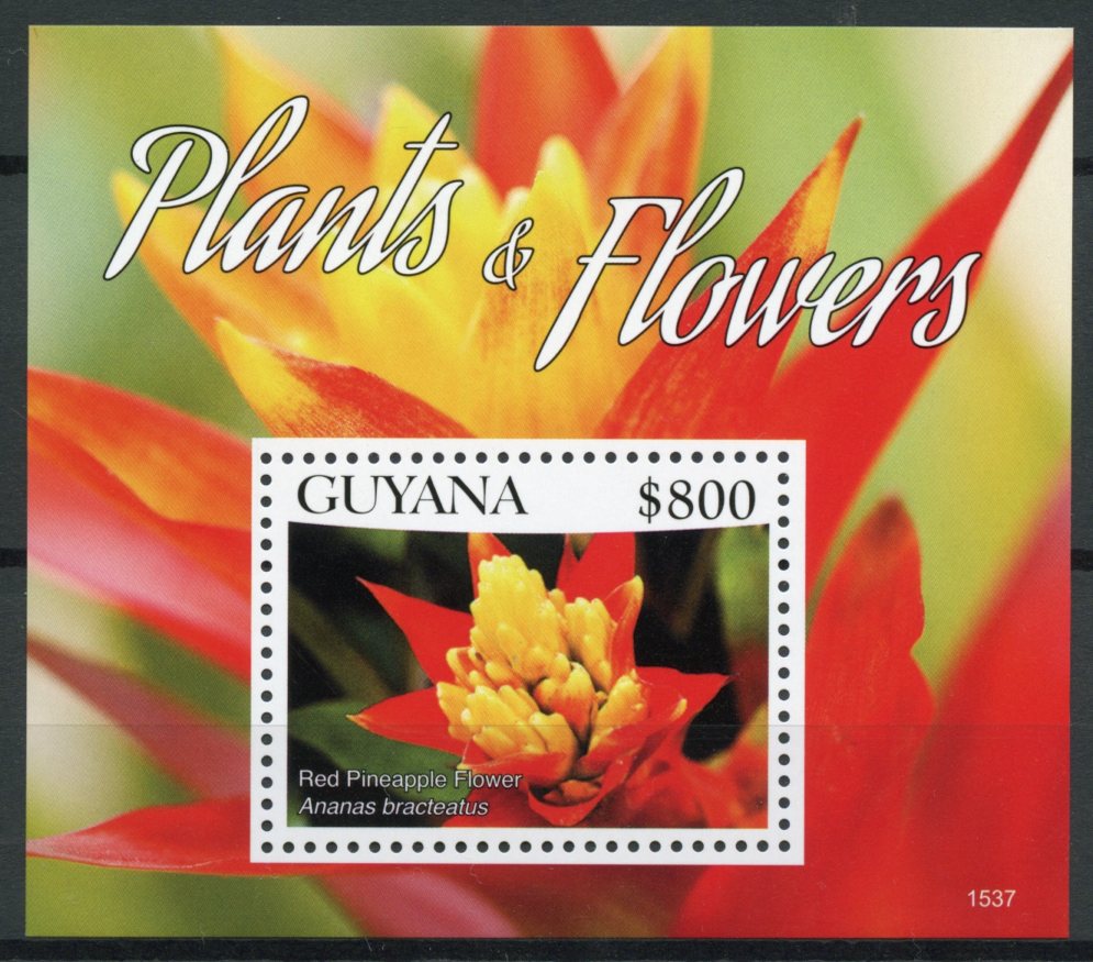Guyana 2015 MNH Plants & Flowers 1v S/S I Red Pineapple Flower Nature Stamps