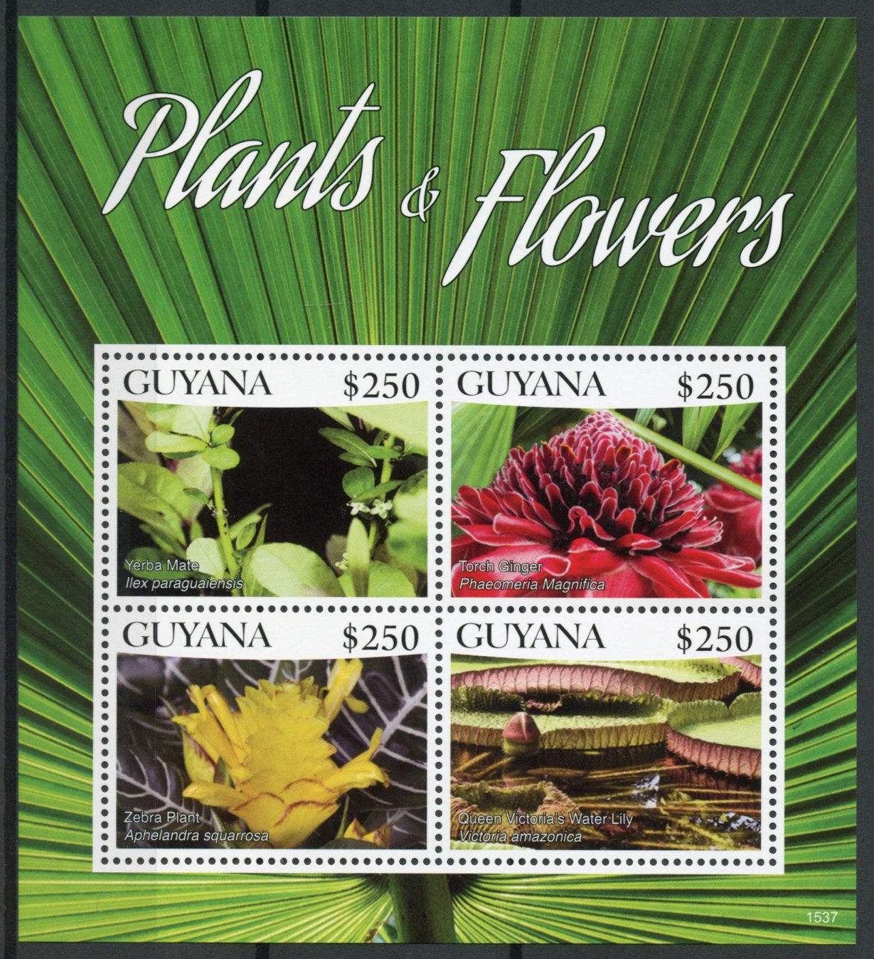 Guyana 2015 MNH Plants & Flowers 4v M/S I Yerba Mate Torch Ginger Nature Stamps