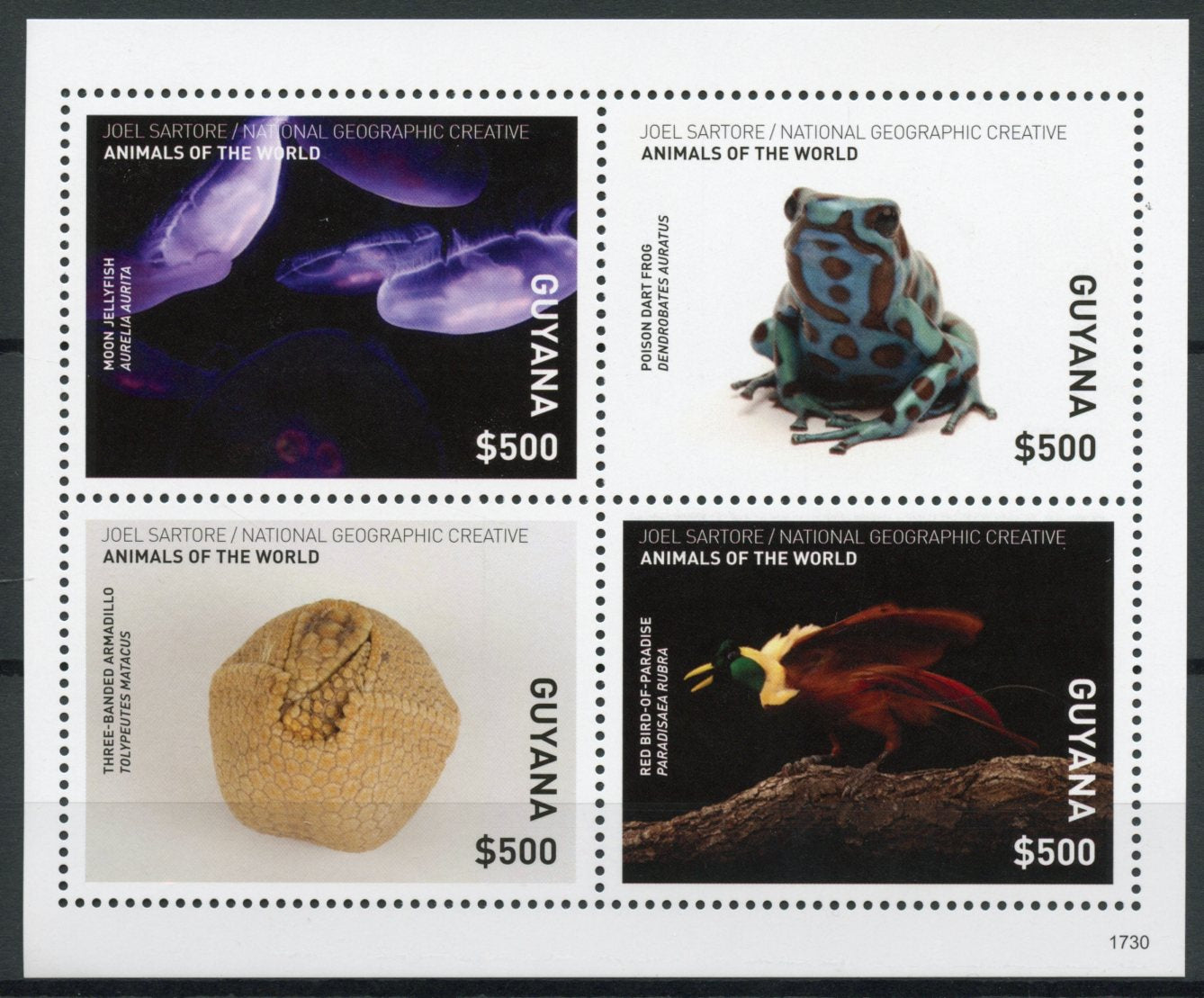 Guyana 2017 MNH Wild Animals of World 4v M/S Frogs Jellyfish Birds Stamps