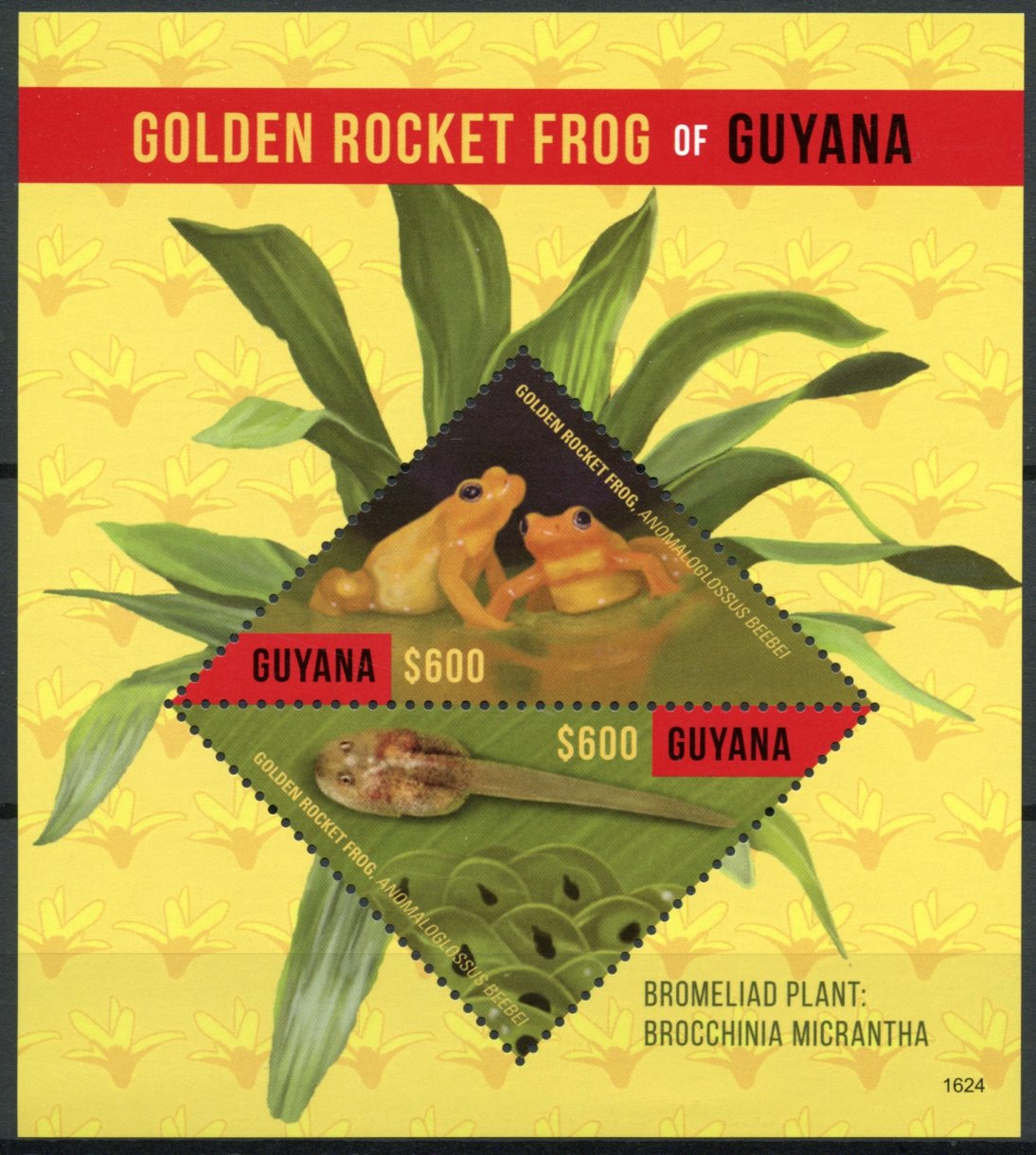 Guyana 2016 MNH Amphibians Stamps Golden Rocket Frog Frogs Bromeliads 2v S/S