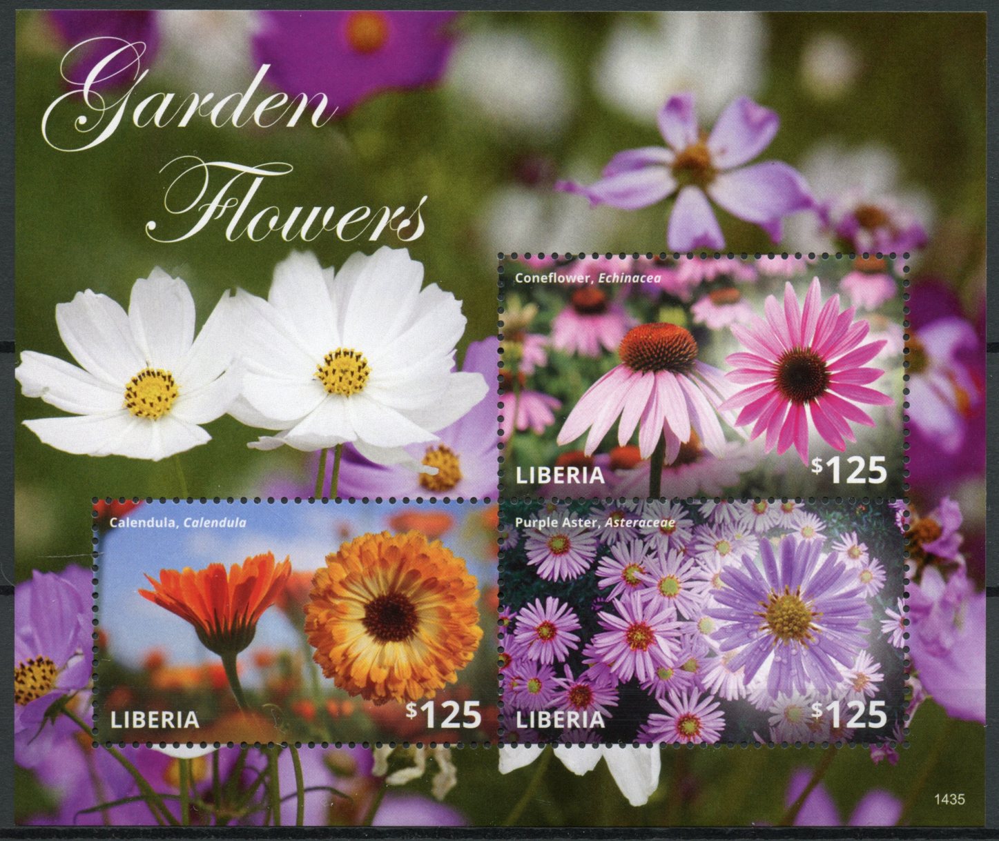Liberia 2014 MNH Garden Flowers Stamps Coneflower Calendula Purple Aster 3v M/S I