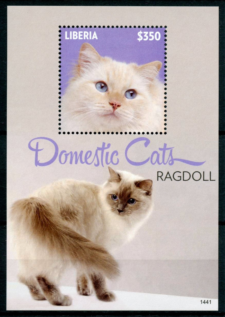 Liberia 2014 MNH Domestic Cats Stamps Ragdoll Pets 1v S/S II