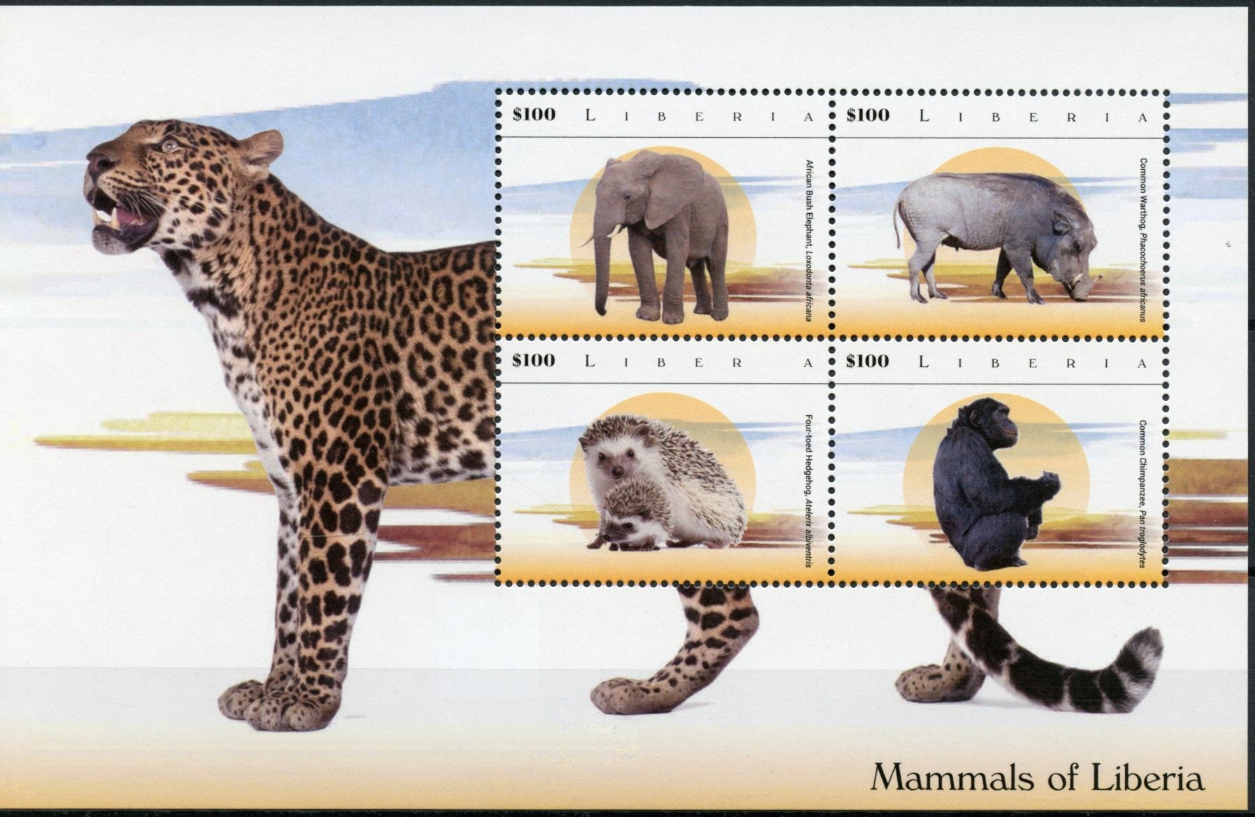 Liberia 2015 MNH Mammals of Liberia 4v M/S I Elephants Leopards Hedgehogs