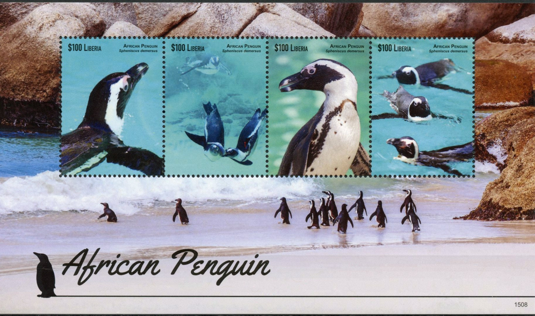Liberia 2015 MNH African Penguin 4v M/S Penguins Birds Spheniscus Demersus