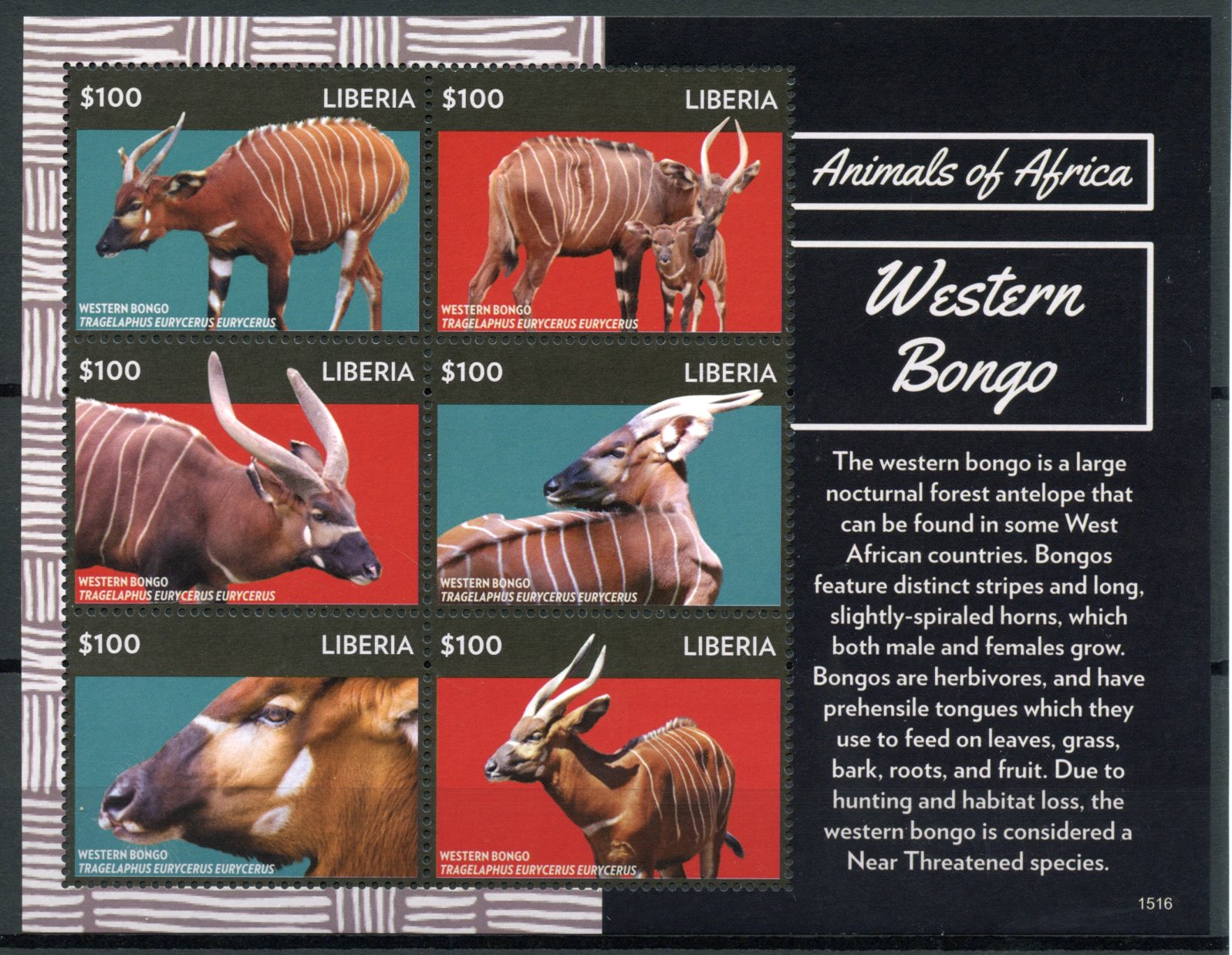 Liberia 2015 MNH Animals of Africa Western Bongo 6v M/S Antelopes Fauna