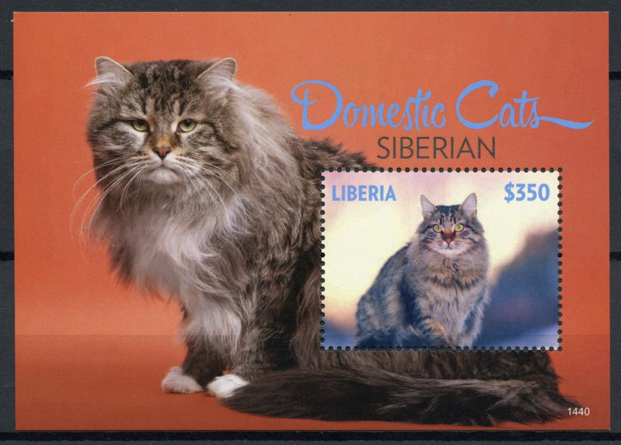 Liberia 2014 MNH Domestic Cats Stamps Siberian Pets 1v S/S I