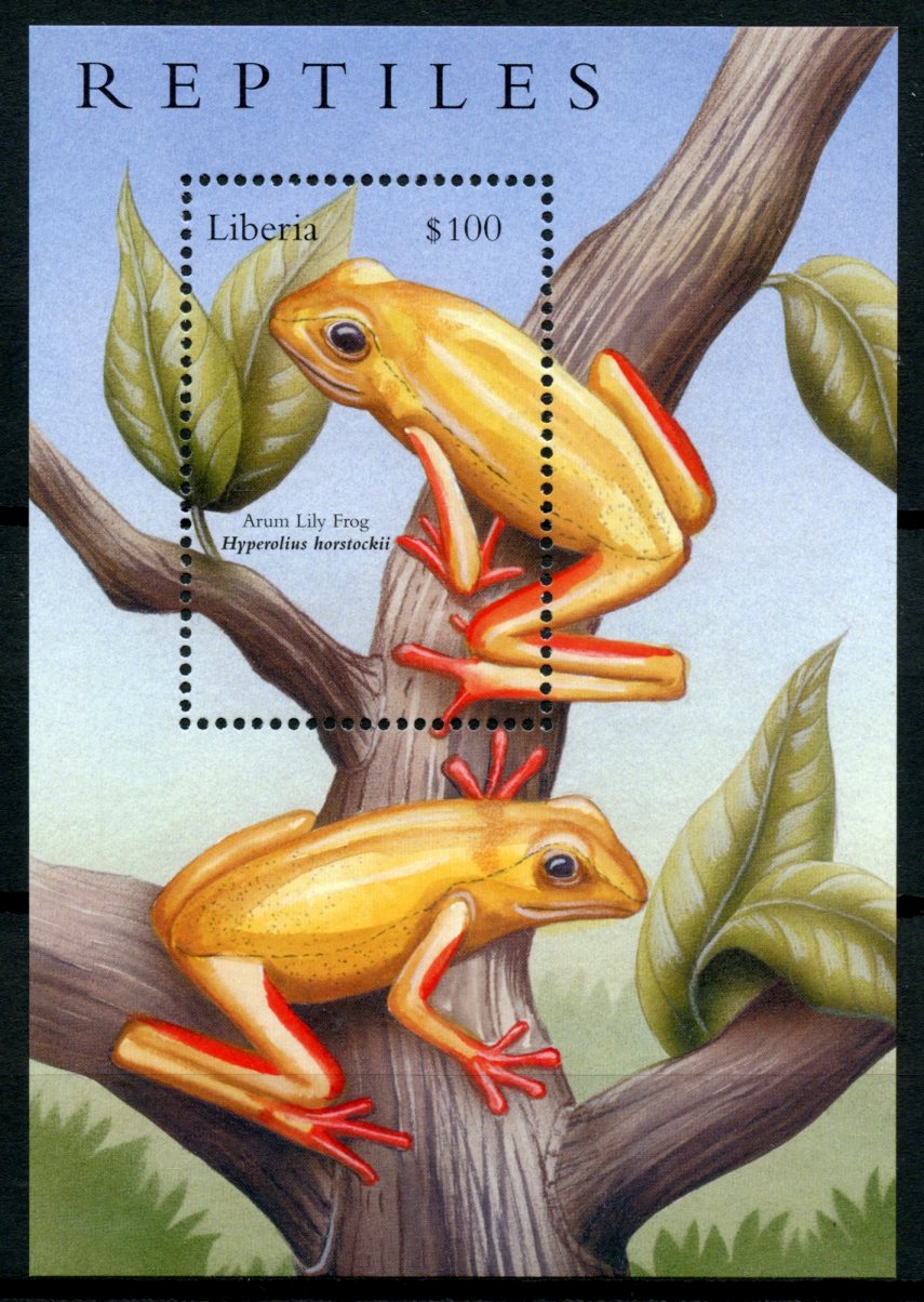 Liberia 2002 MNH Reptiles Stamps Amphibians Frogs Arum Lily Frog 1v S/S