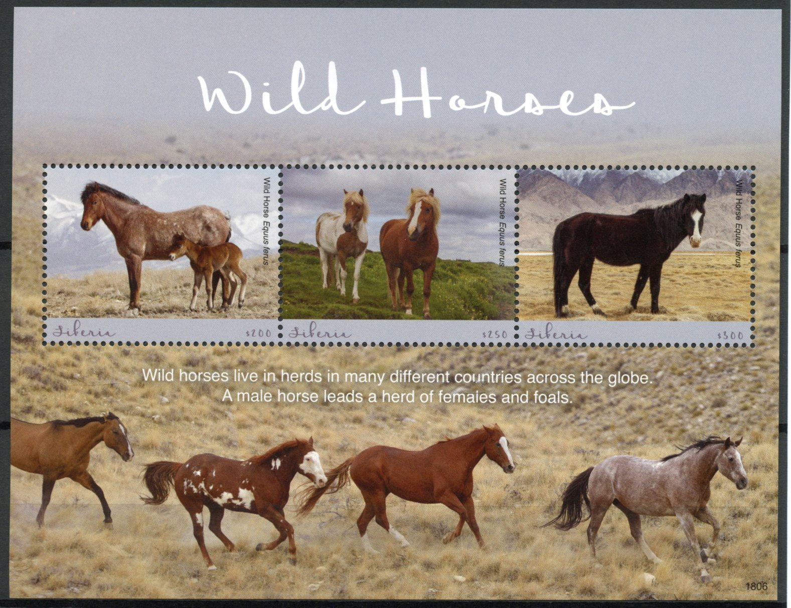 Liberia 2018 MNH Wild Horses 3v M/S I Horse Wild Animals Stamps