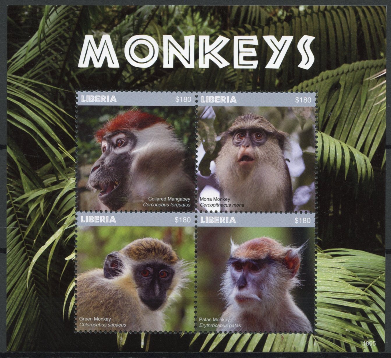 Liberia 2018 MNH Monkeys Mona Palas Monkey Mangabey 4v M/S Wild Animals Stamps